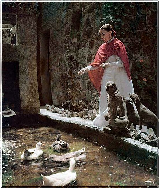 Frida feeding the ducks