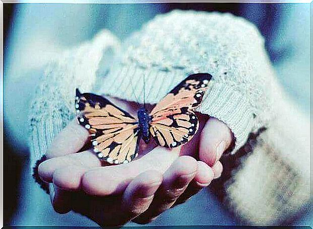 Hand with butterfly