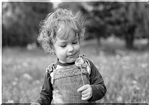 Child with dandelion symbolizing divergent thinking in children 