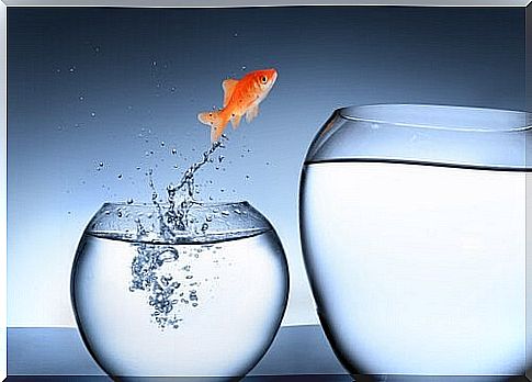 Fish jumping from one fish tank to another symbolizing divergent thinking in children 