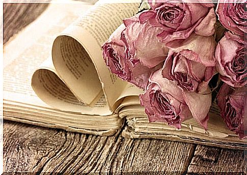 Withered roses on book with open leaves