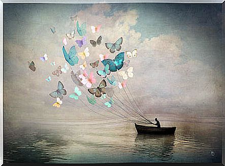 Butterflies guide the boat