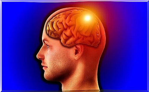 Parietal lobe