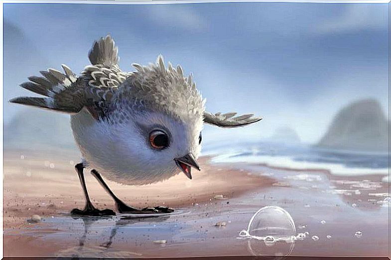 Piper, one of Disney's most beautiful and endearing shorts