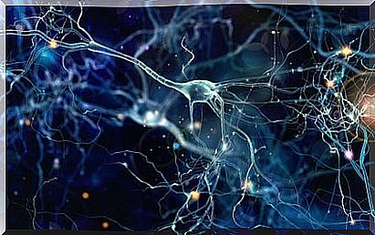 Neurons