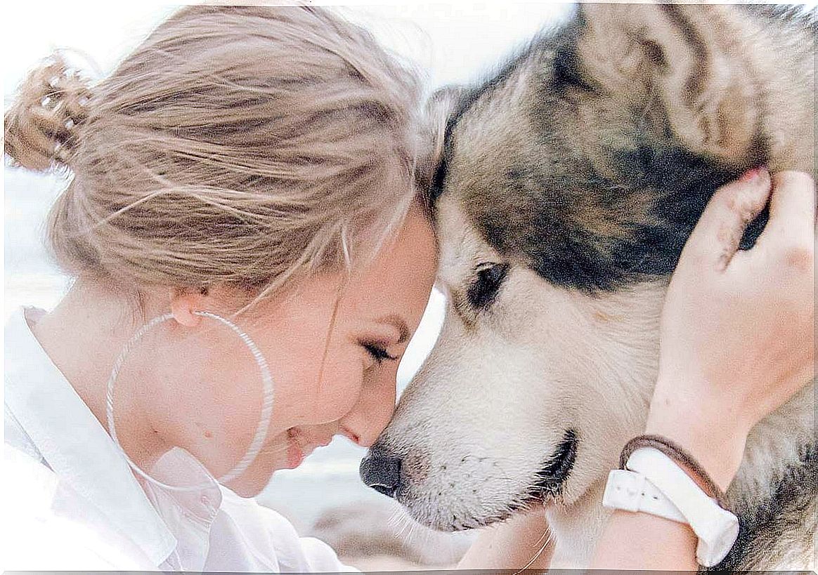 Girl with her husky working on separation anxiety in dogs