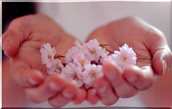 Hands with flowers representing abundance