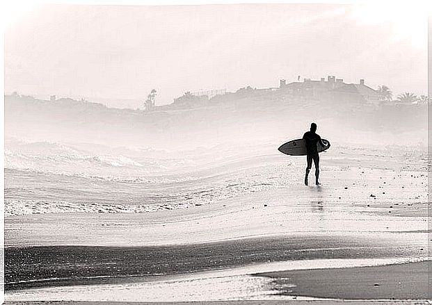 The Fable of the Surfer