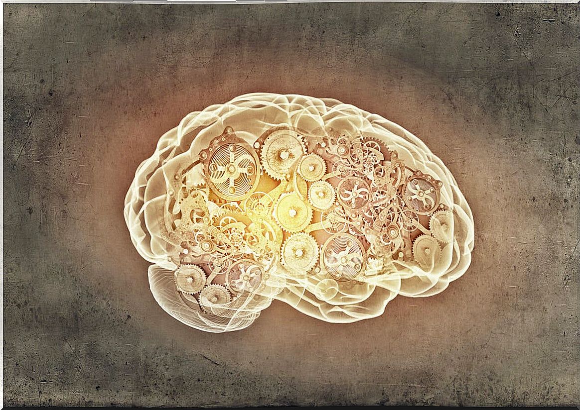 Brain with illuminated mechanisms